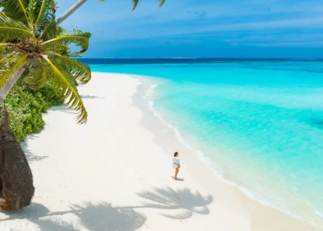 Woman looking ocean under shades of palm trees, PEO Canada